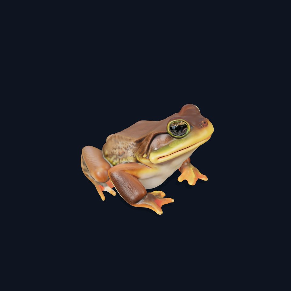 Realistic Frog Model Pack for Animation and Games